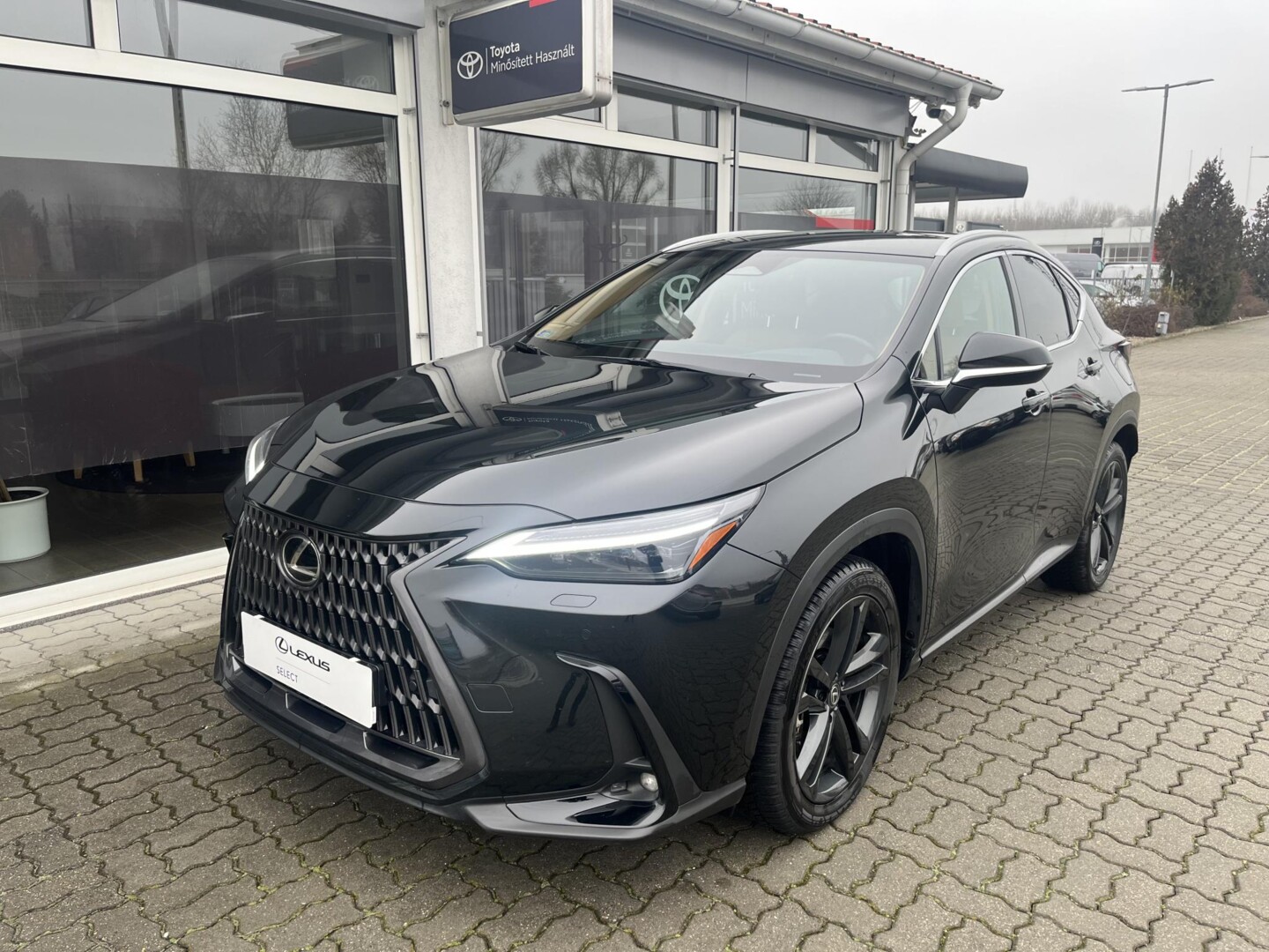 Lexus NX