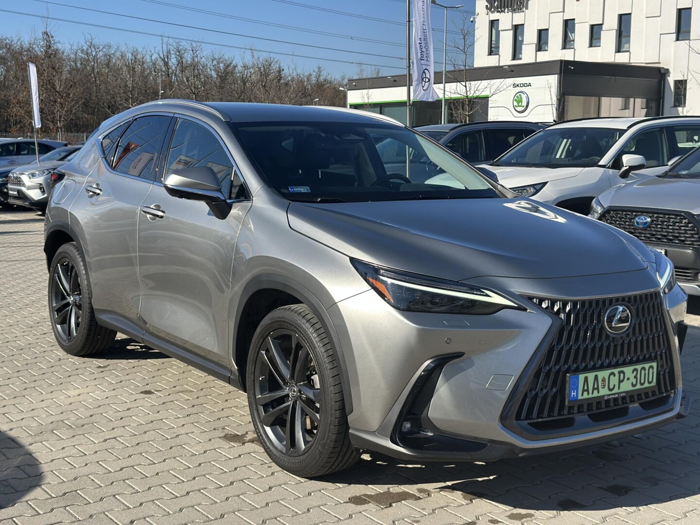 Lexus NX