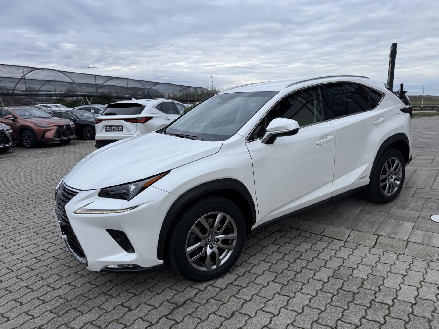 Lexus NX