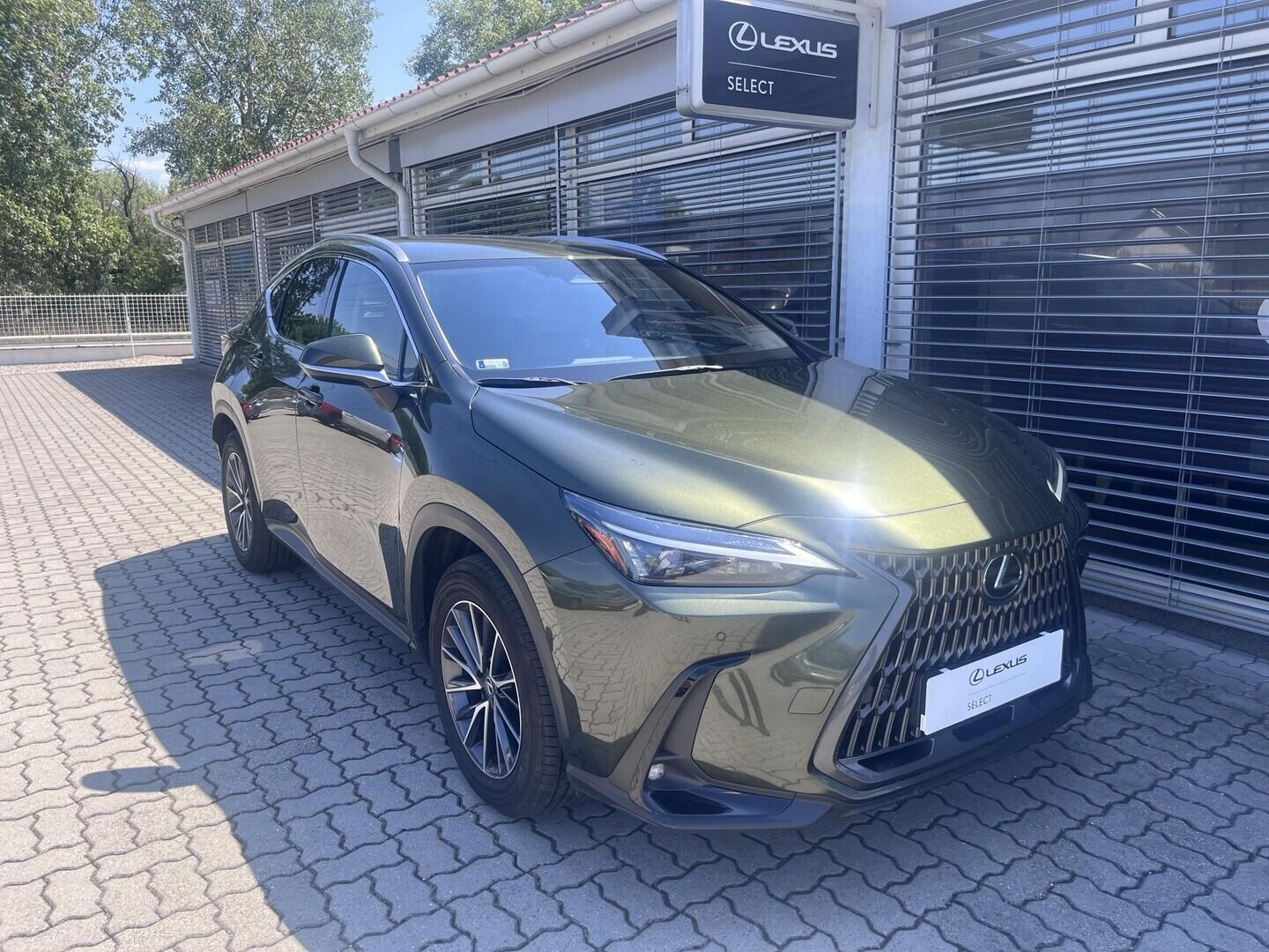Lexus NX
