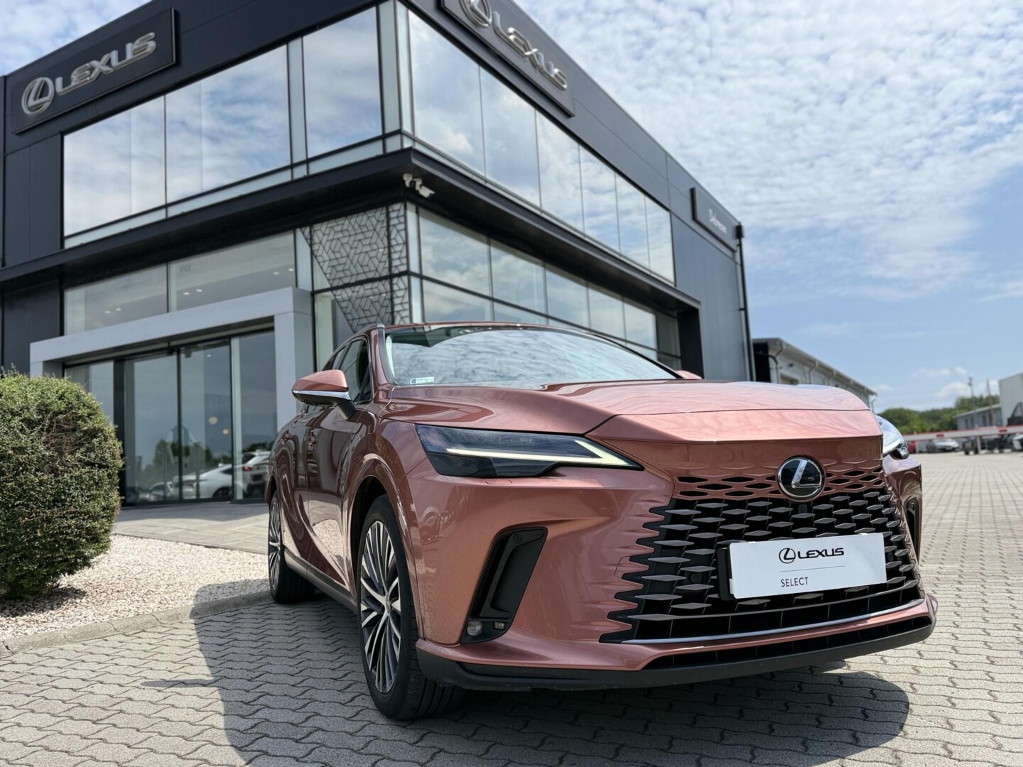Lexus RX