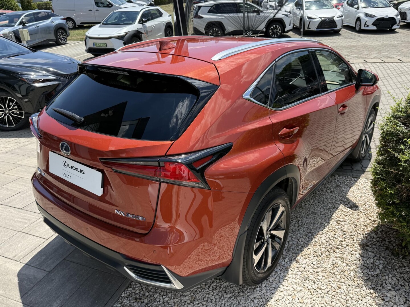 Lexus NX