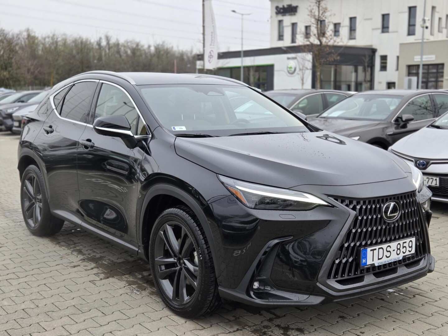 Lexus NX
