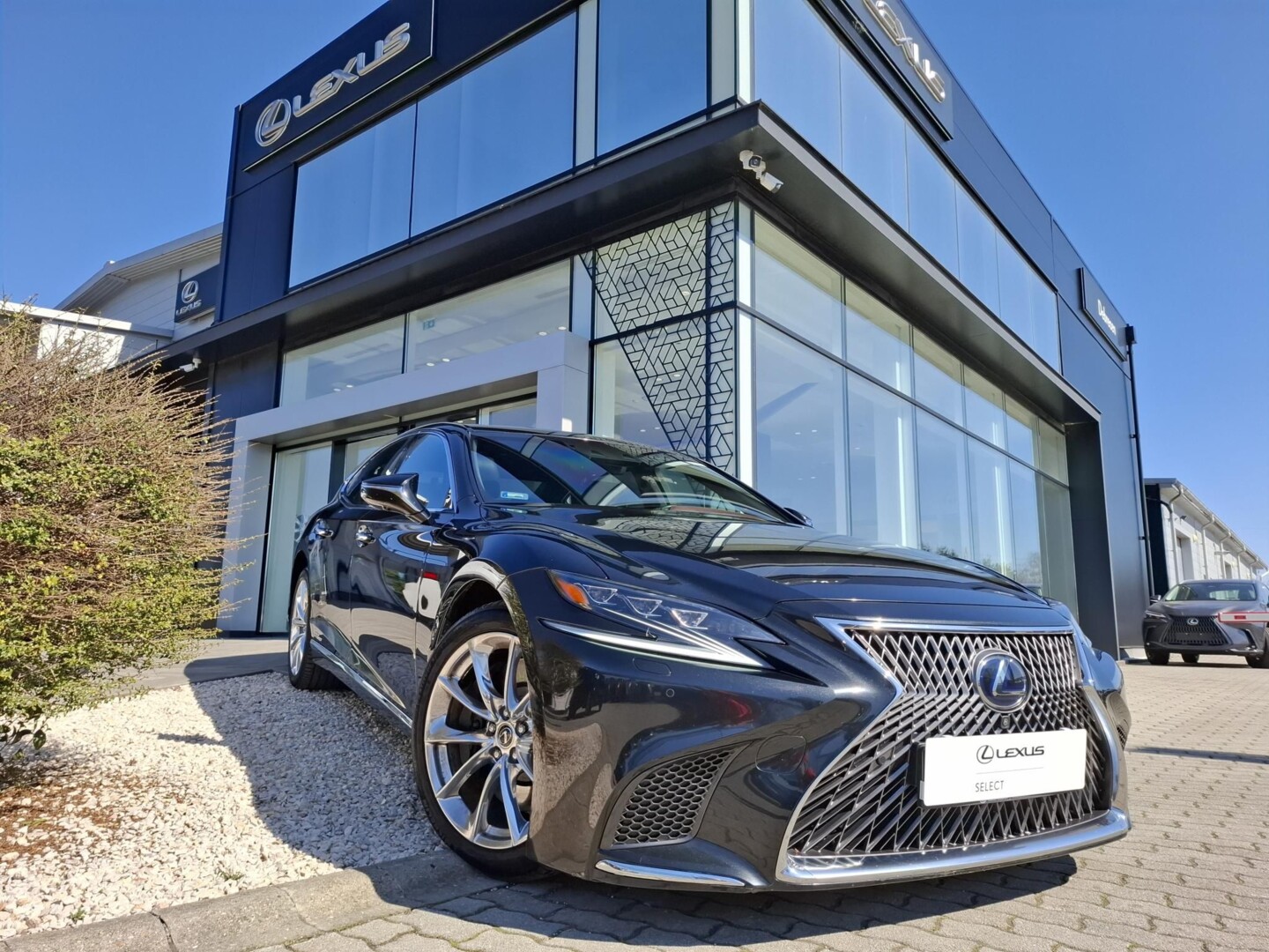 Lexus LS