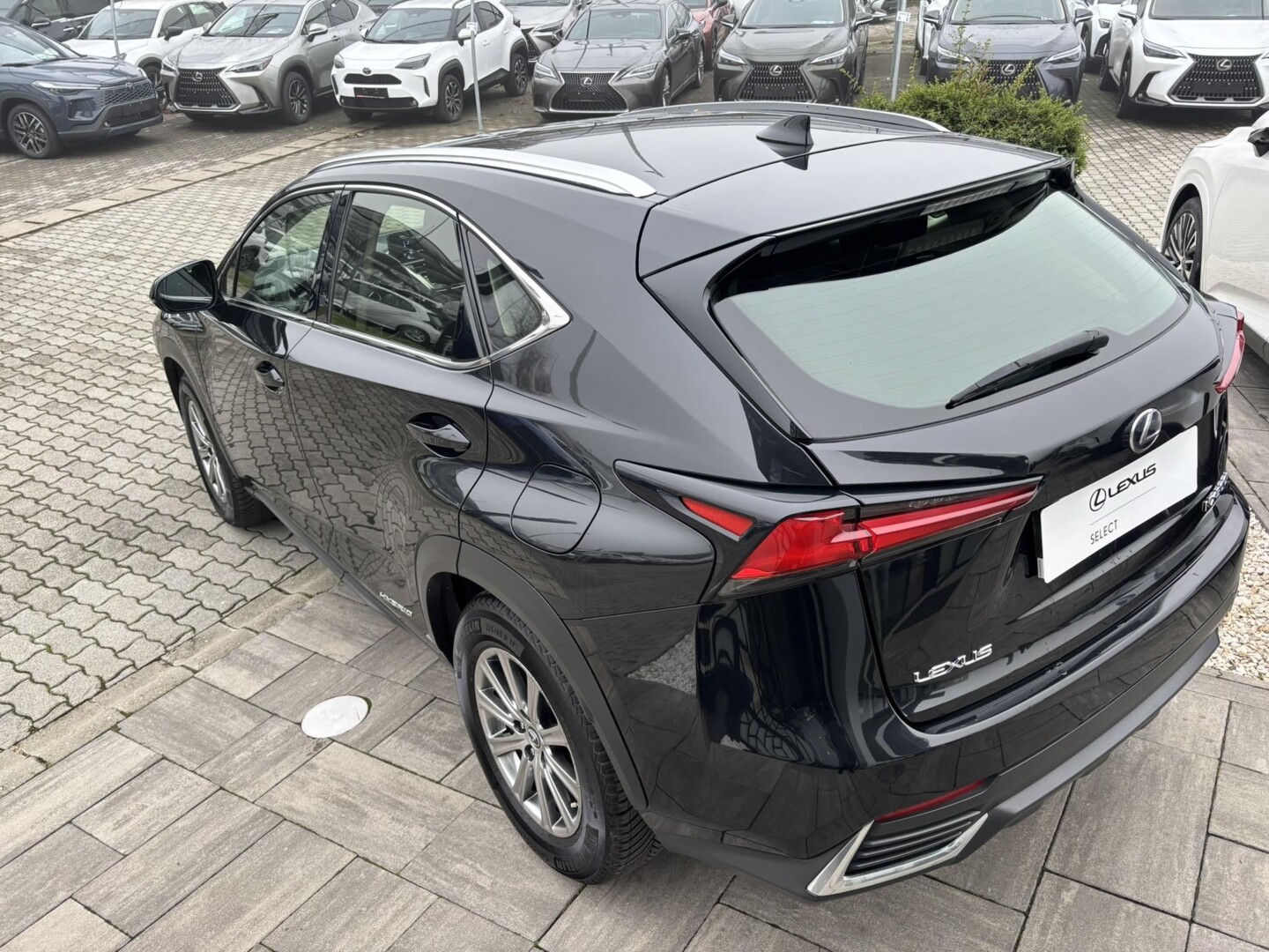 Lexus NX