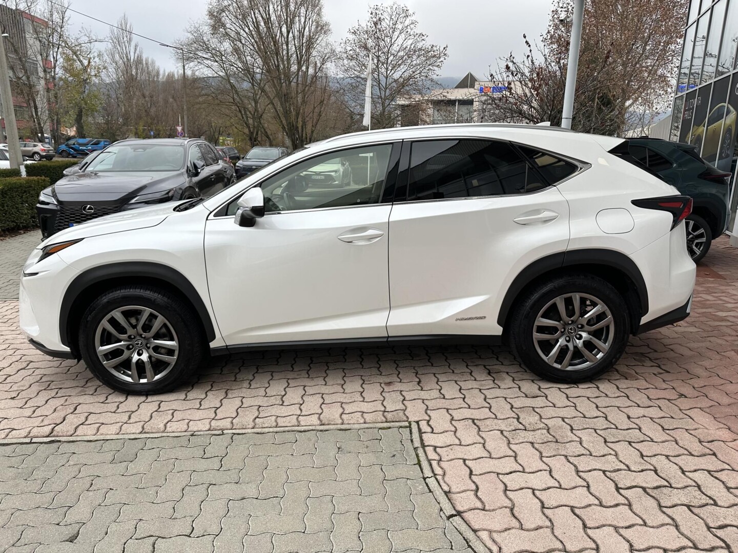 Lexus NX
