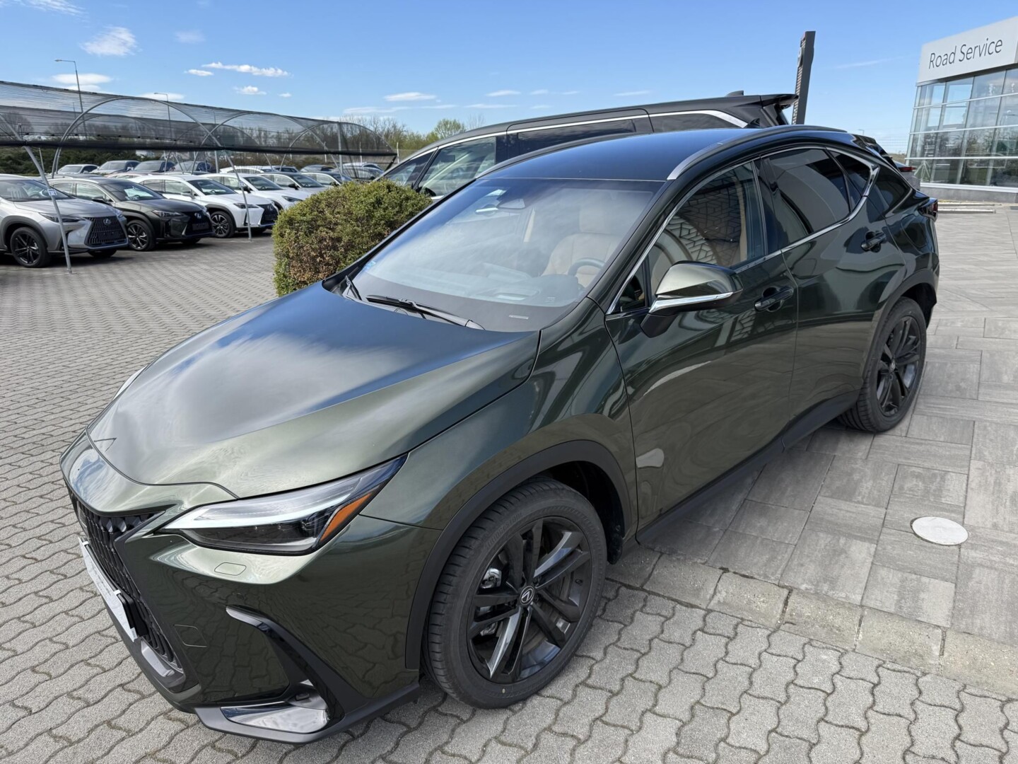 Lexus NX