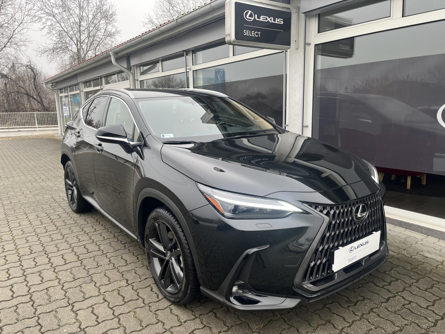 Lexus NX