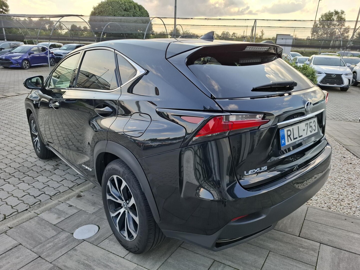 Lexus NX