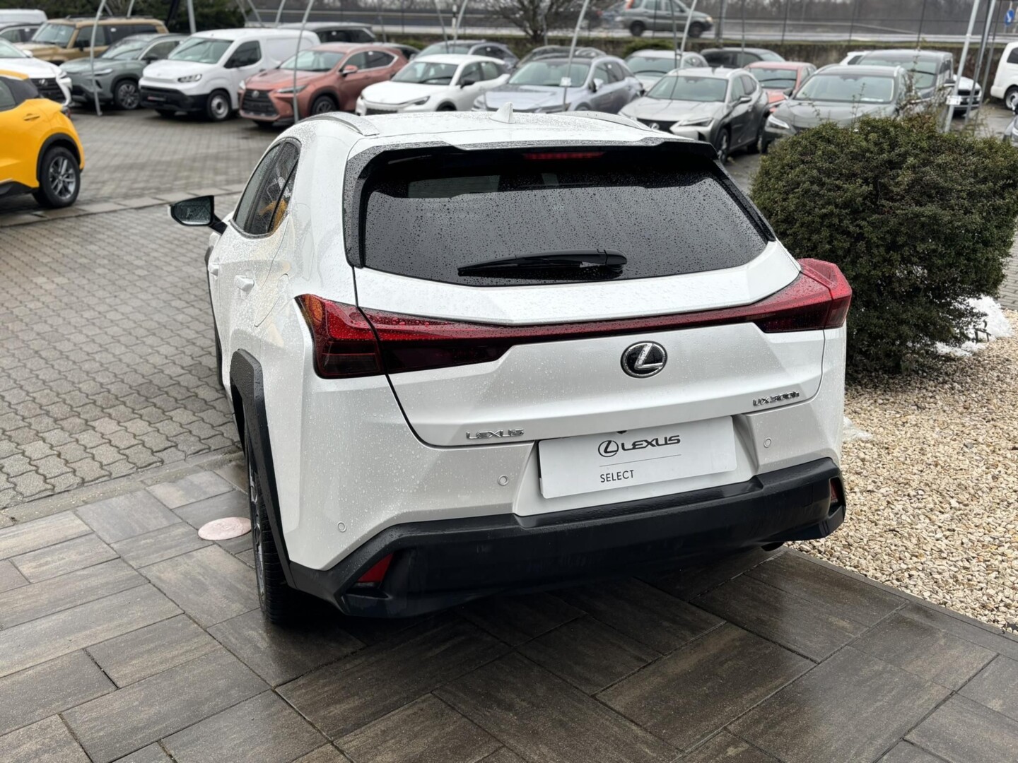 Lexus UX