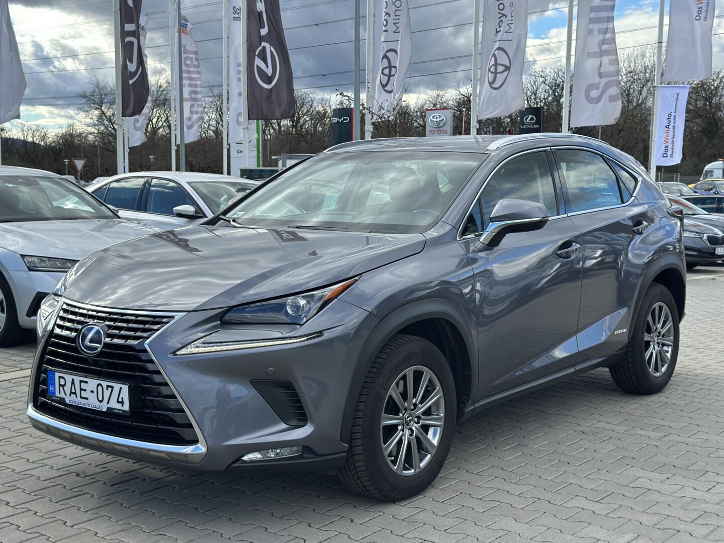 Lexus NX