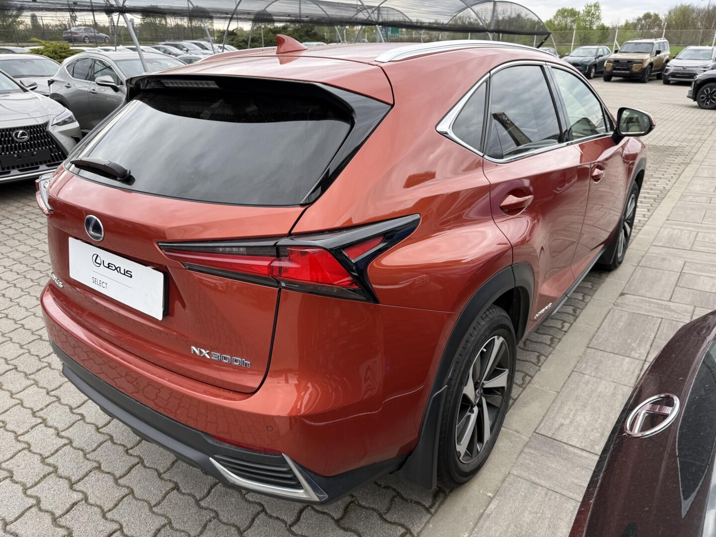 Lexus NX
