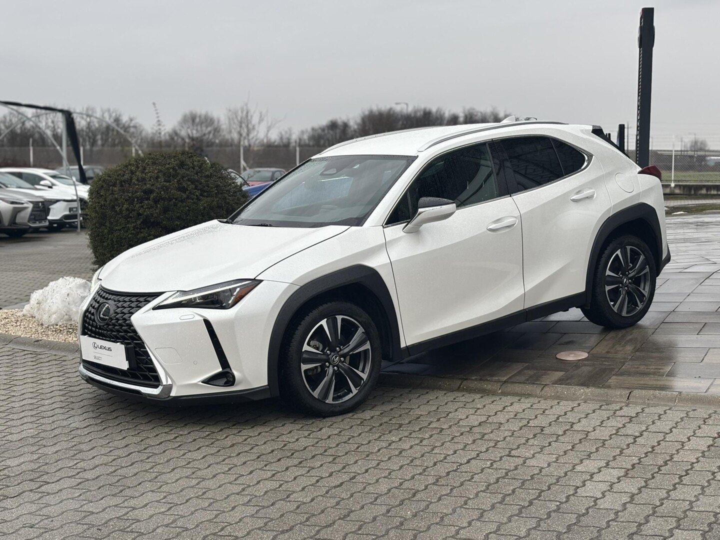 Lexus UX