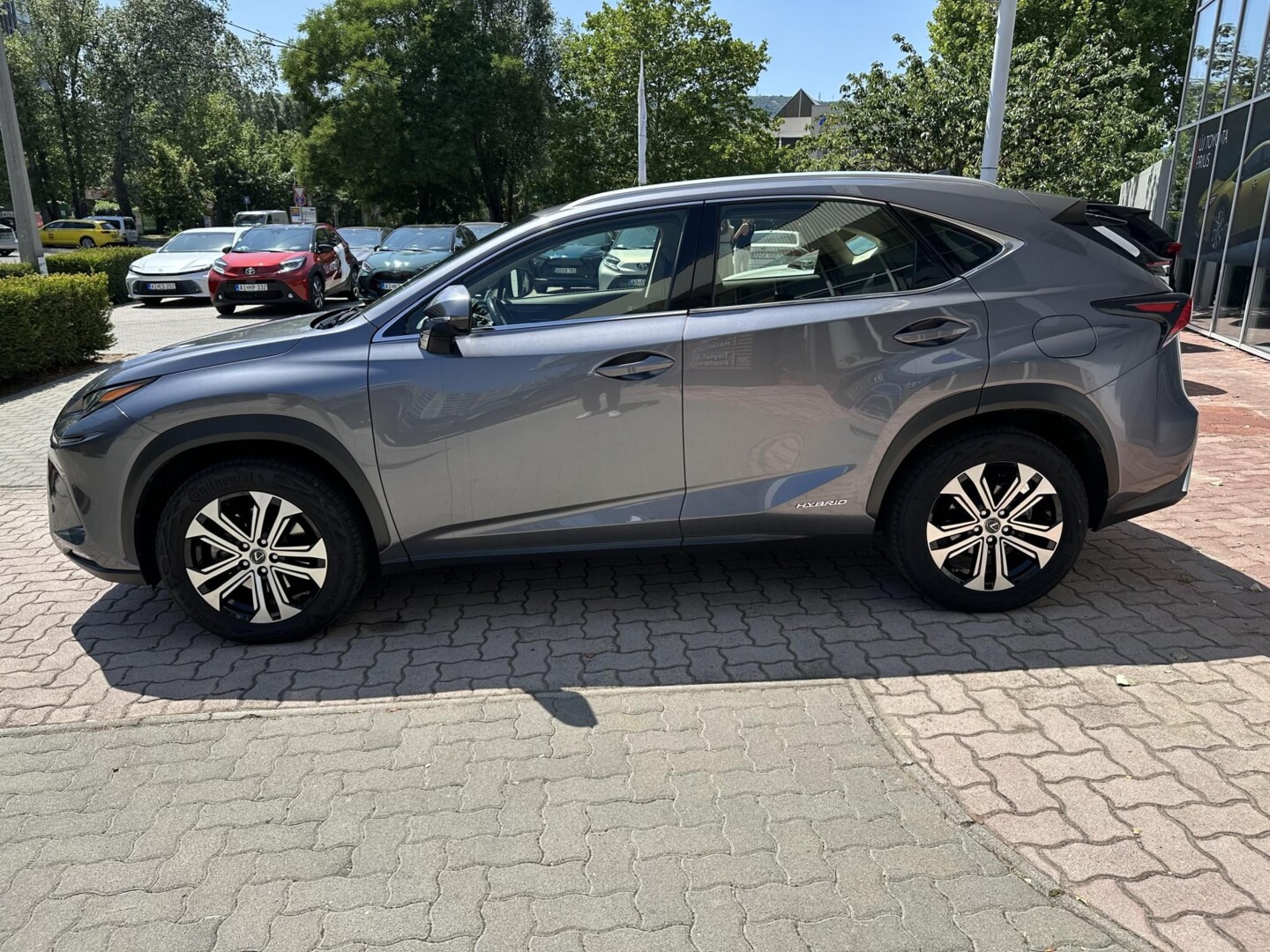 Lexus NX