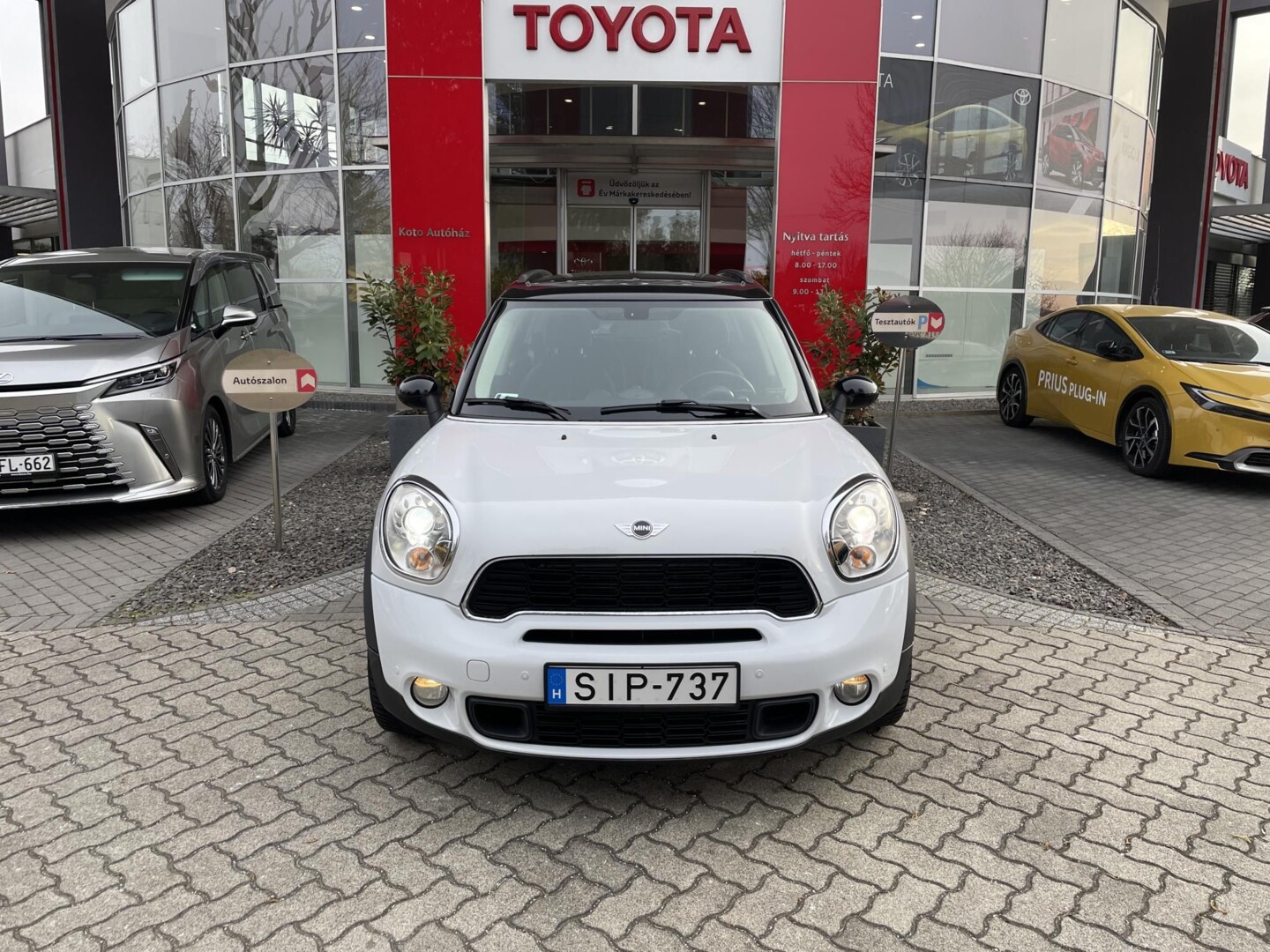 Mini Countryman