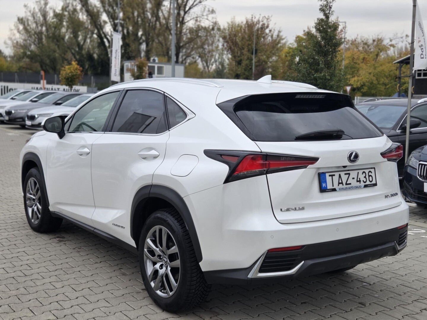 Lexus NX