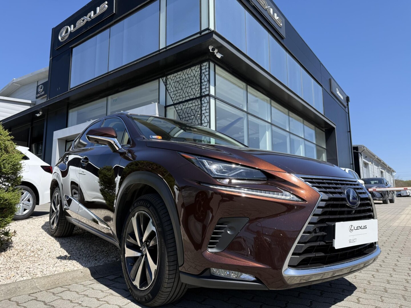Lexus NX