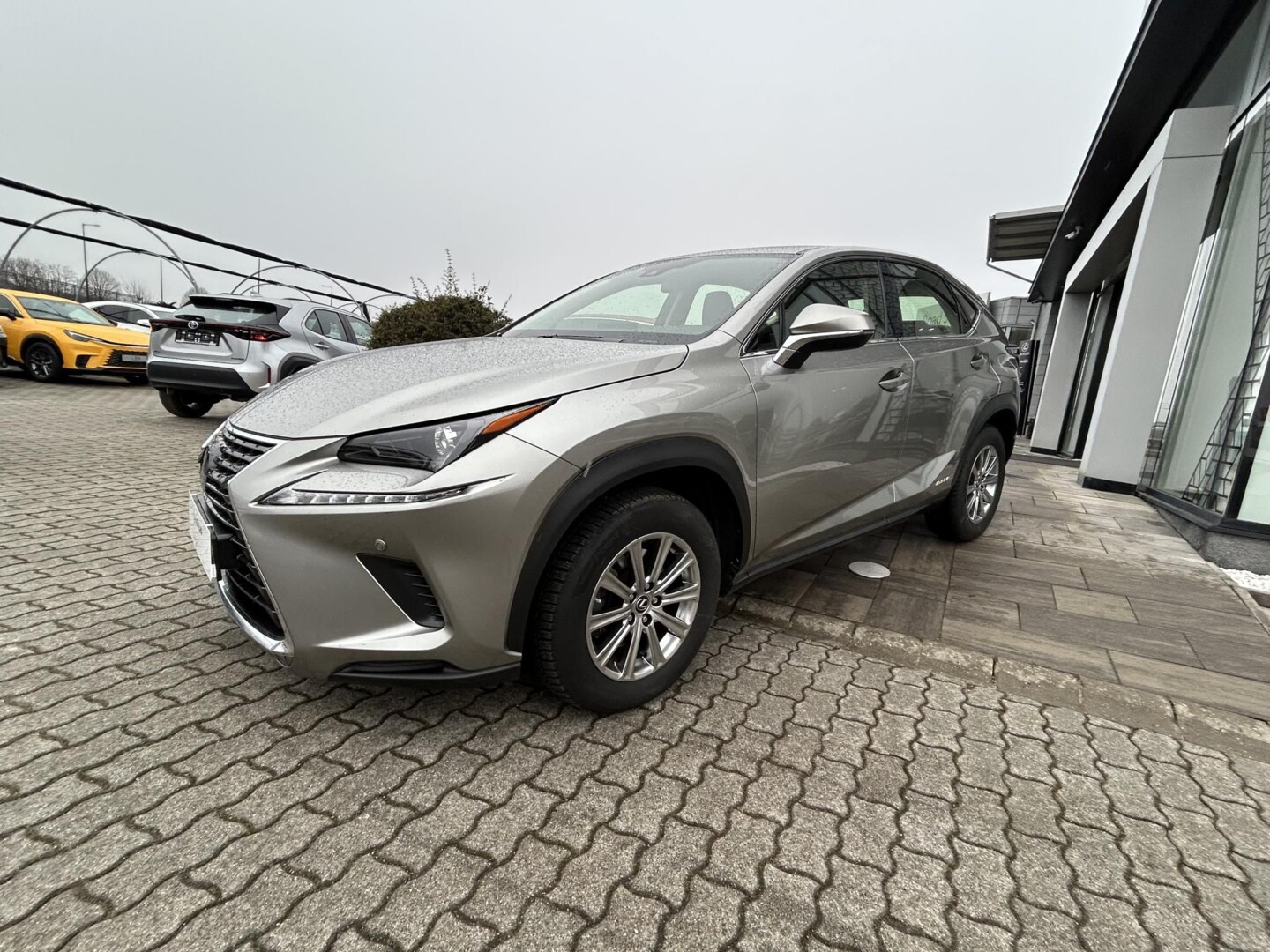 Lexus NX