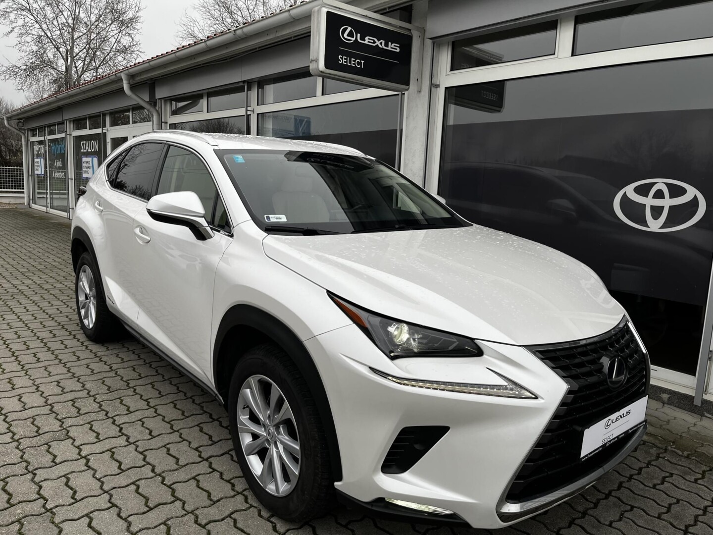 Lexus NX