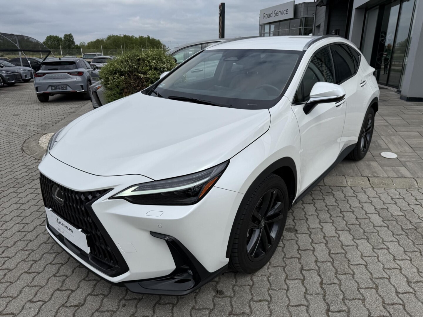 Lexus NX
