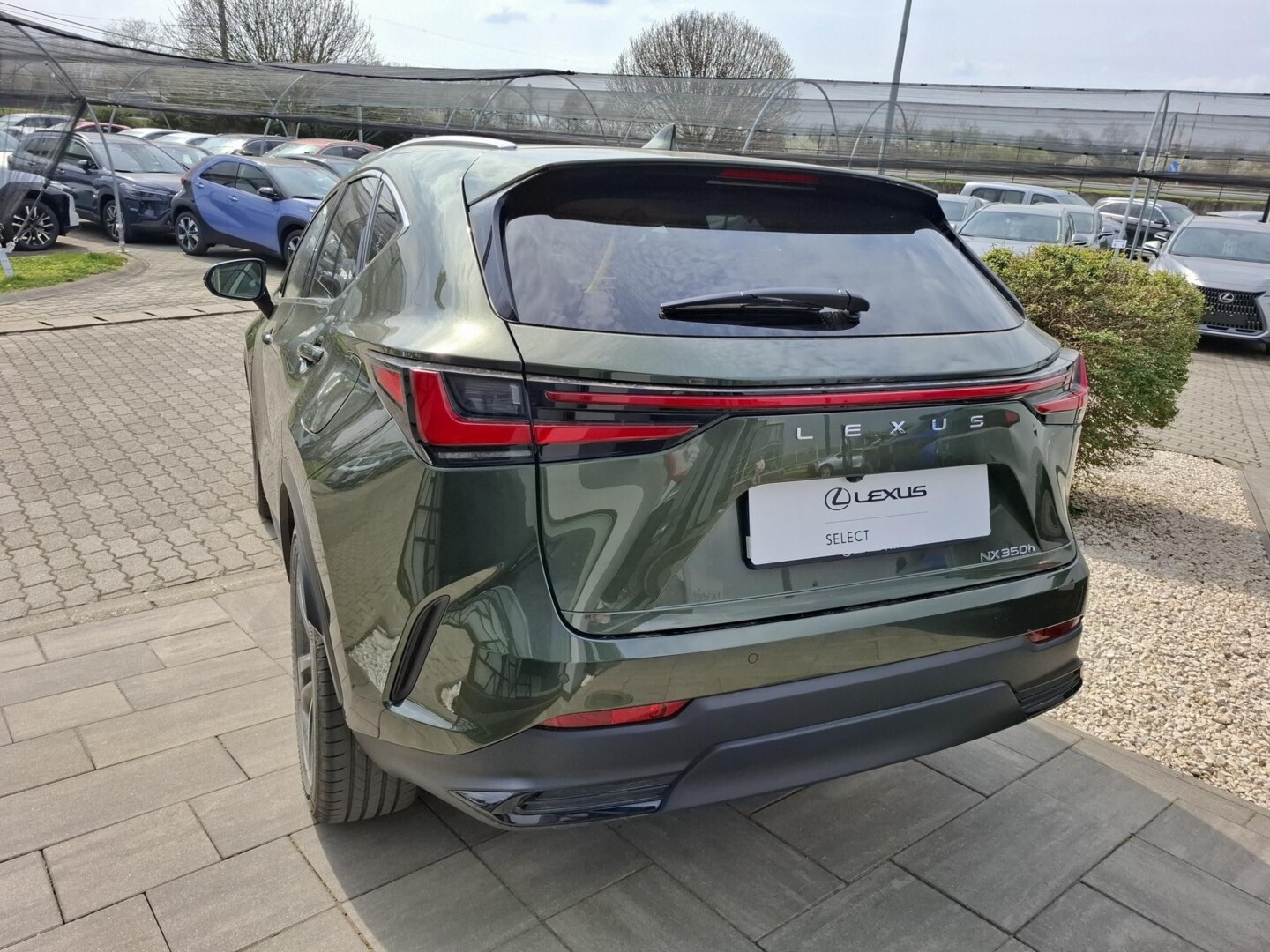 Lexus NX
