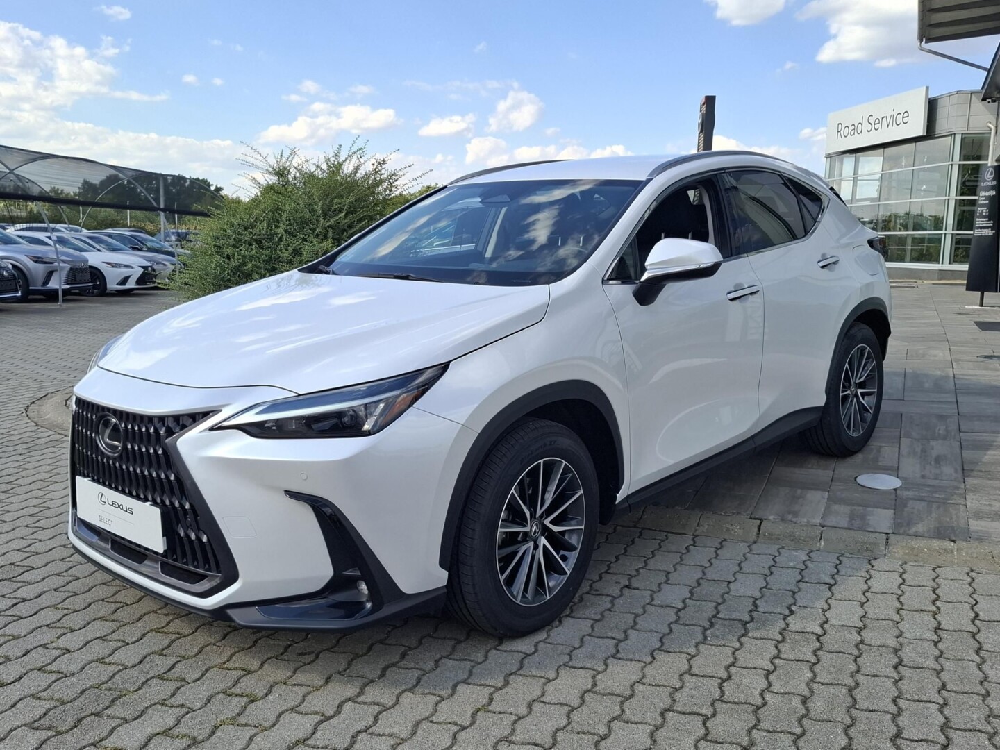 Lexus NX