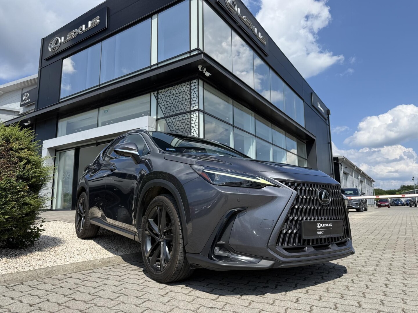 Lexus NX