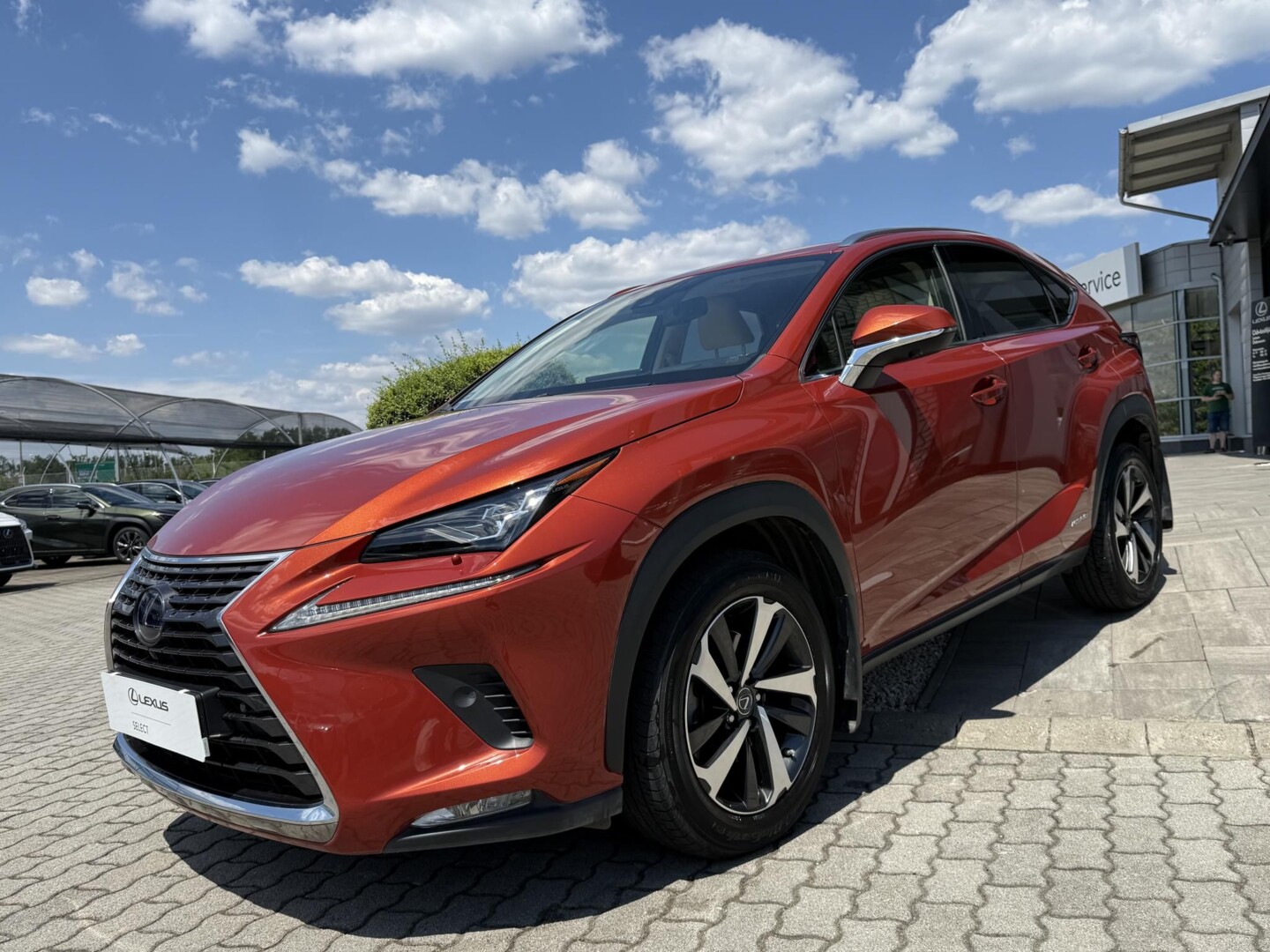 Lexus NX