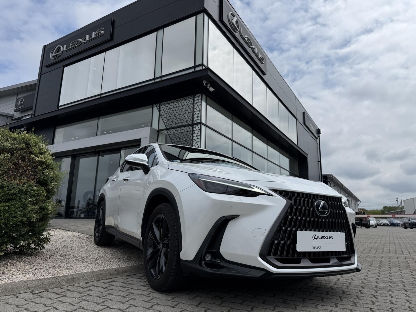 Lexus NX
