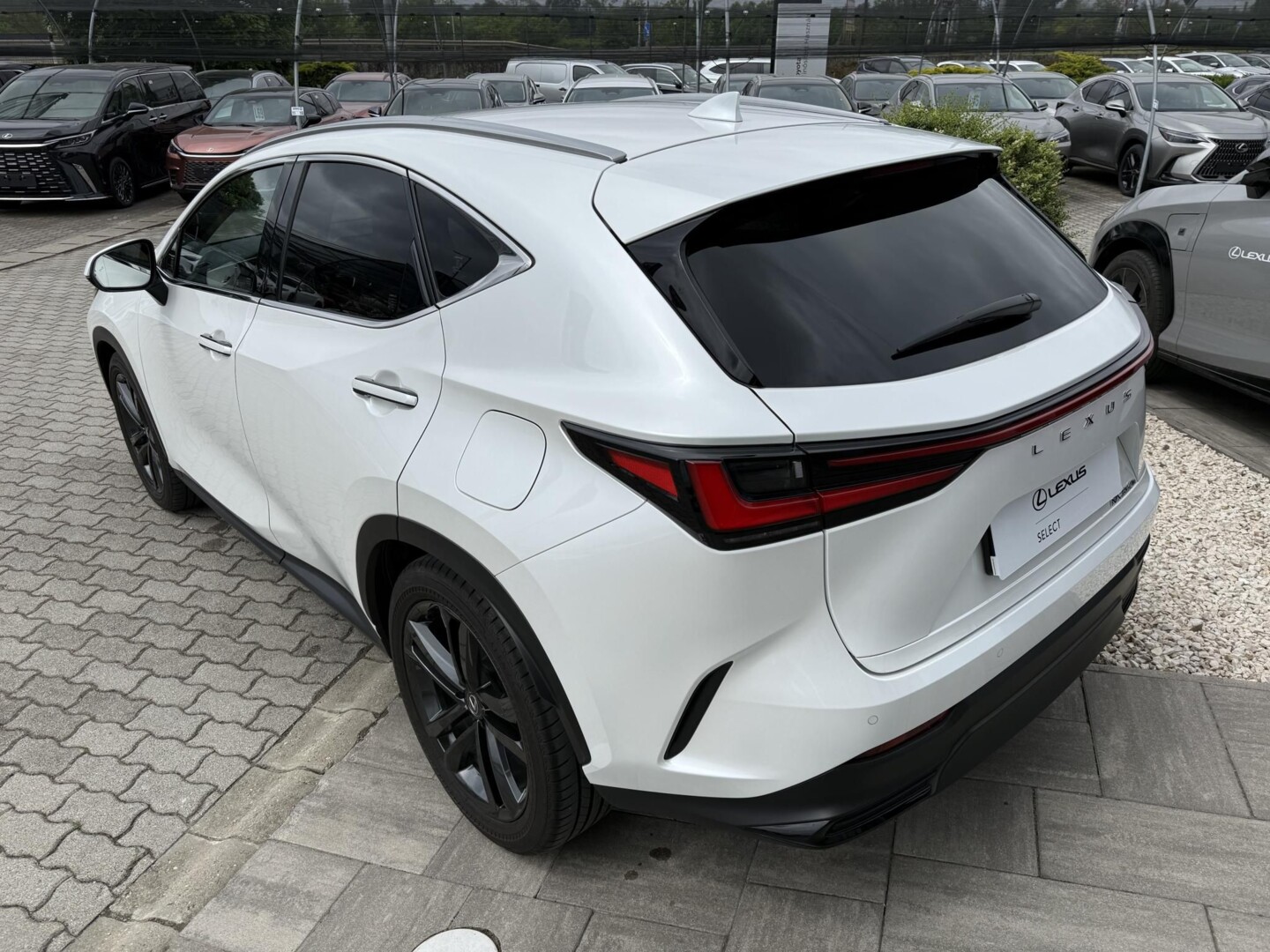 Lexus NX