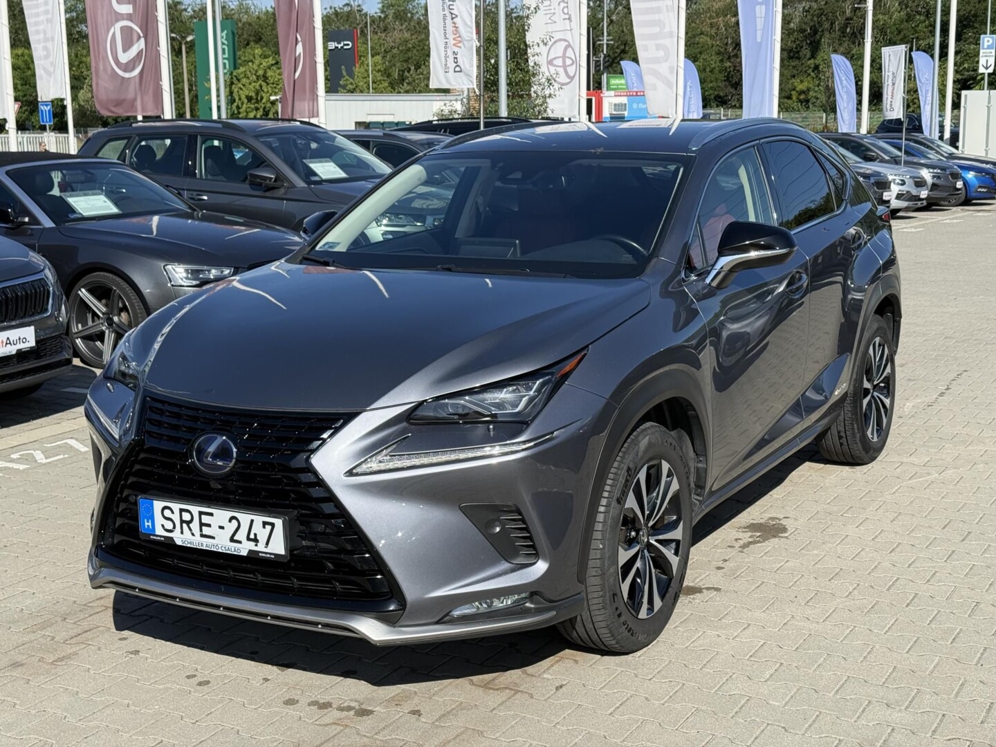 Lexus NX