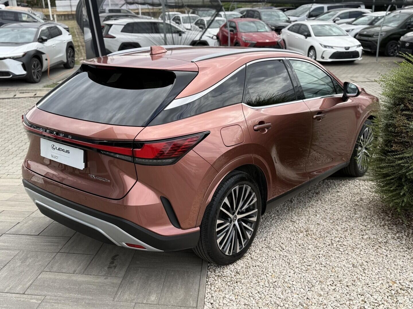 Lexus RX