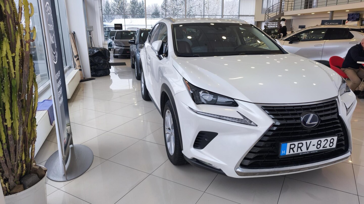 Lexus NX