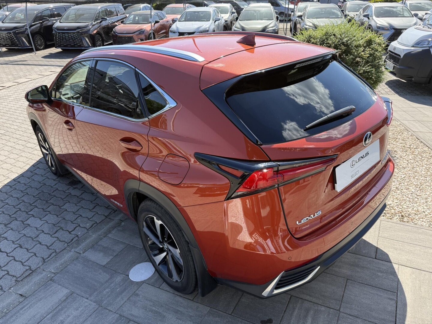 Lexus NX