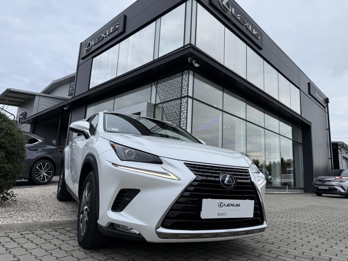 Lexus NX