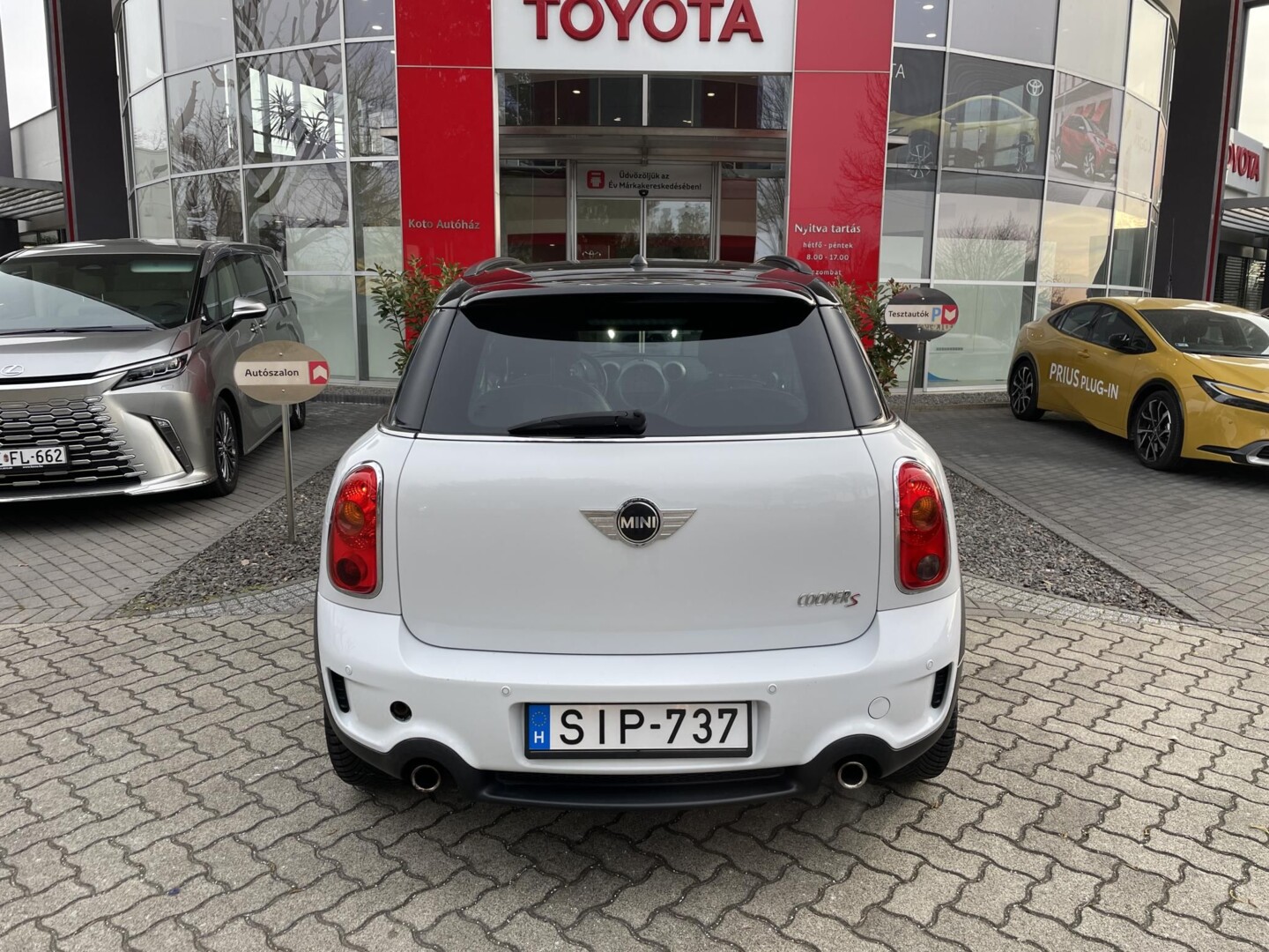 Mini Countryman