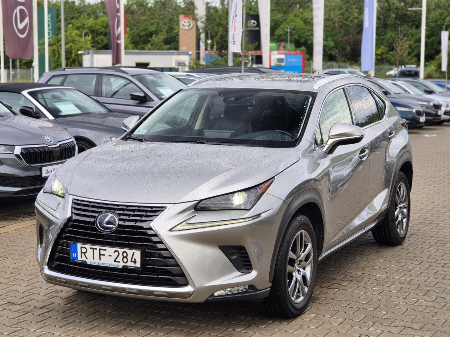 Lexus NX