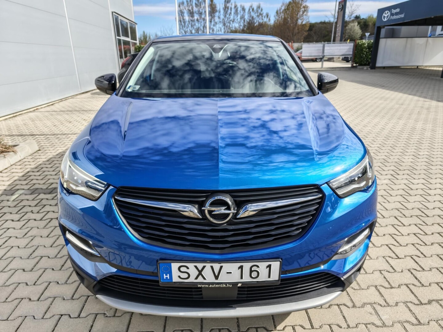 Opel Grandland X