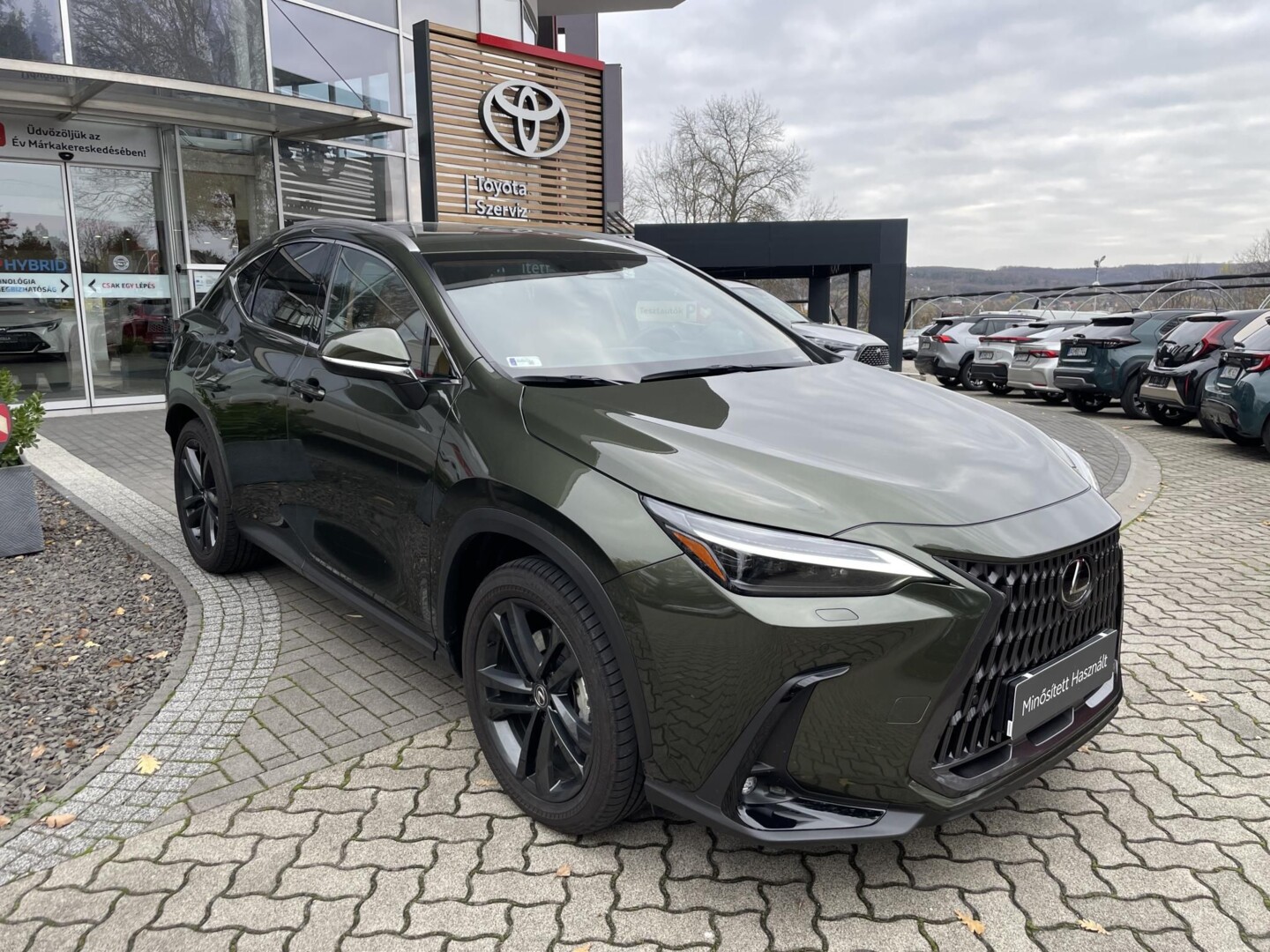 Lexus NX