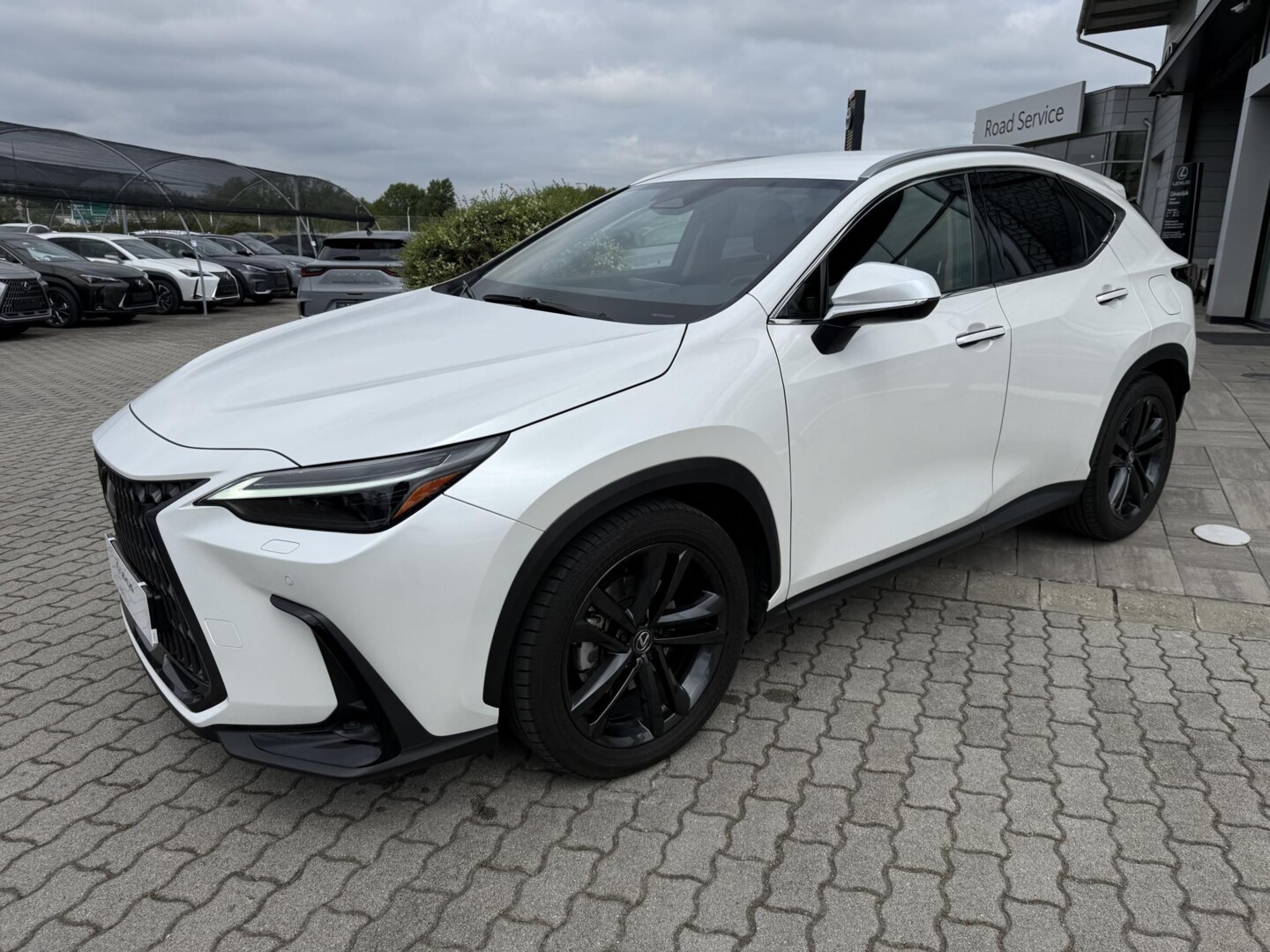 Lexus NX