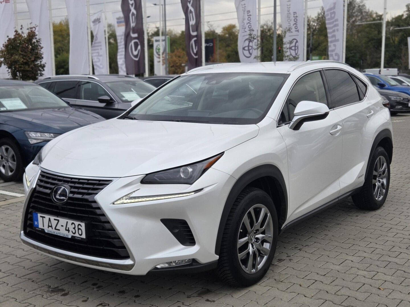 Lexus NX