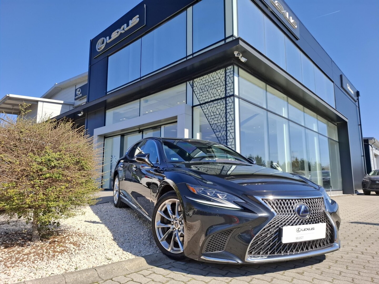 Lexus LS