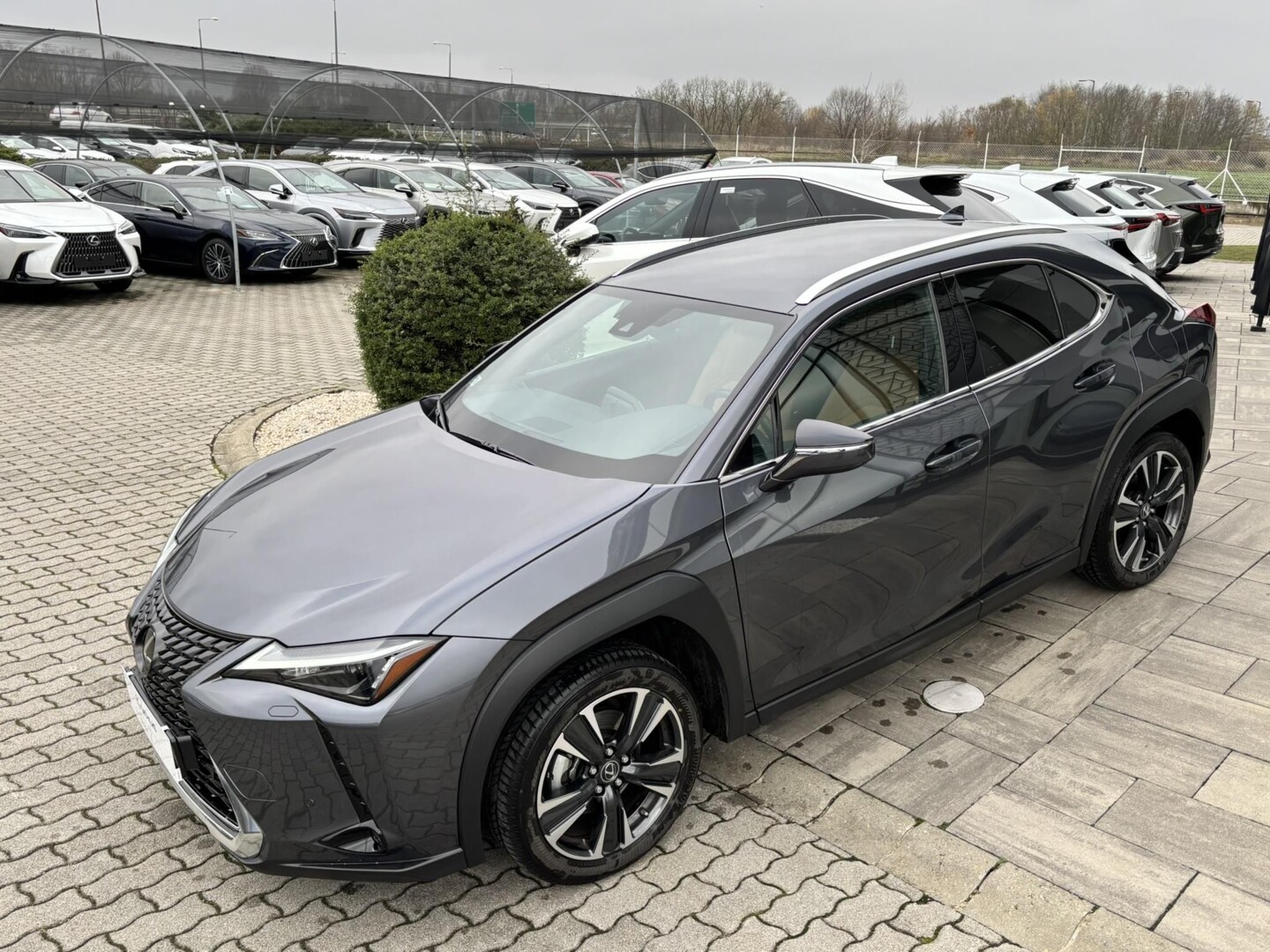 Lexus UX