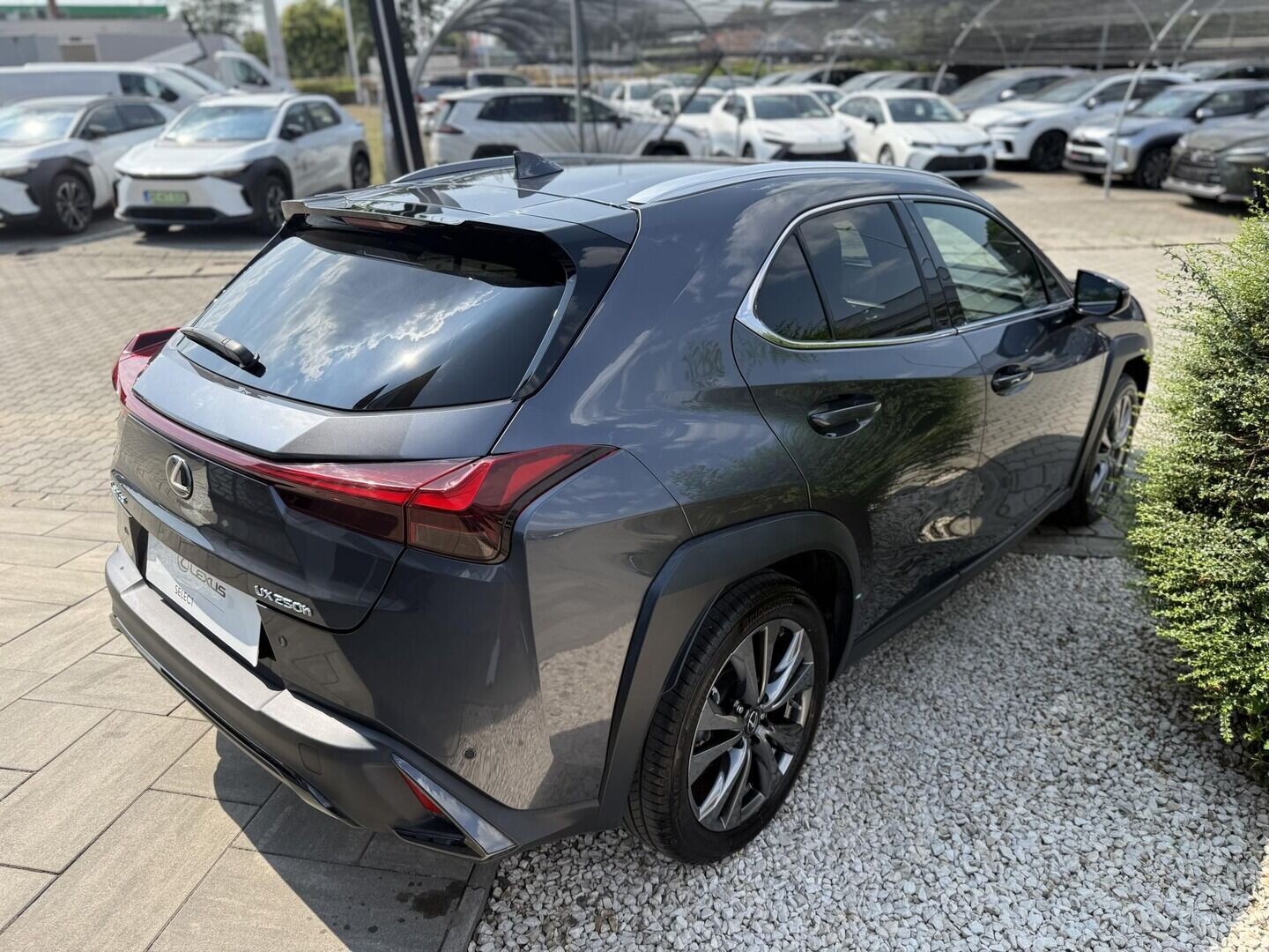 Lexus UX