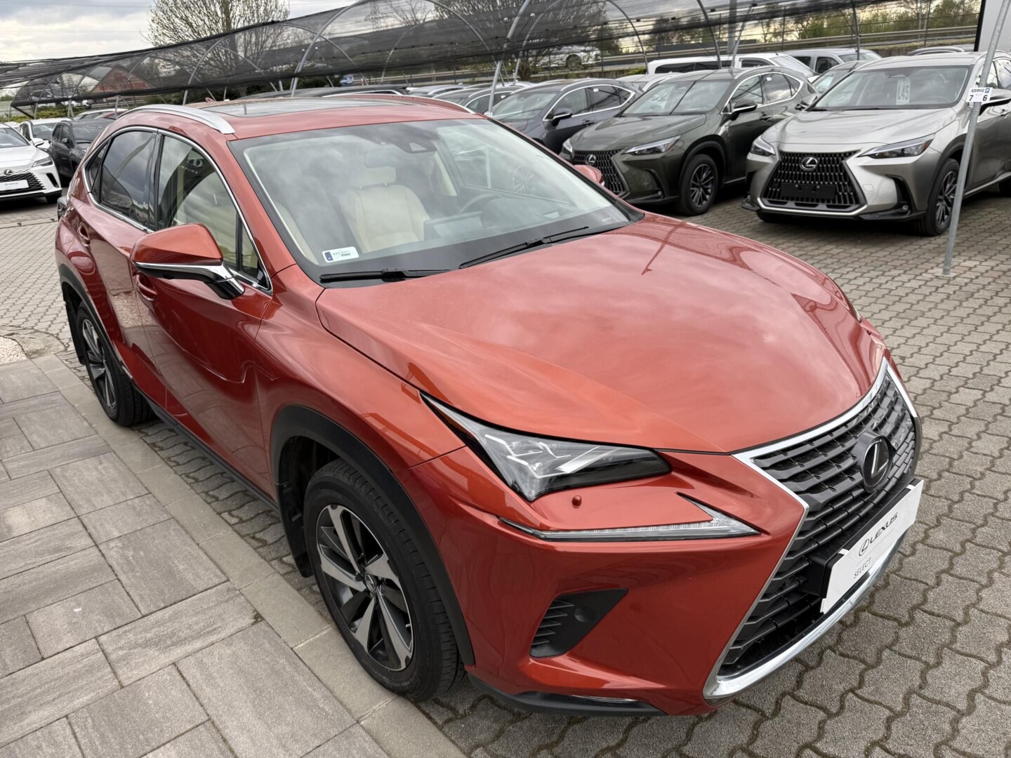 Lexus NX