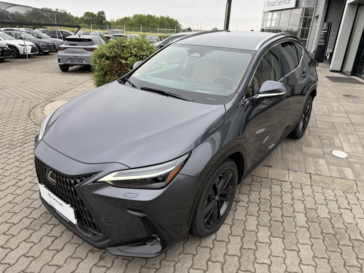 Lexus NX