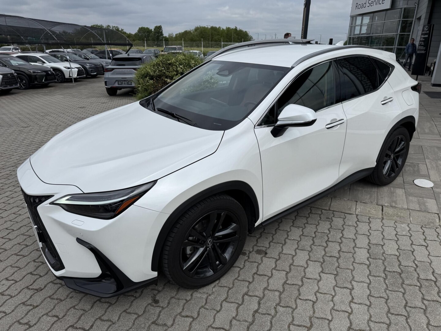 Lexus NX