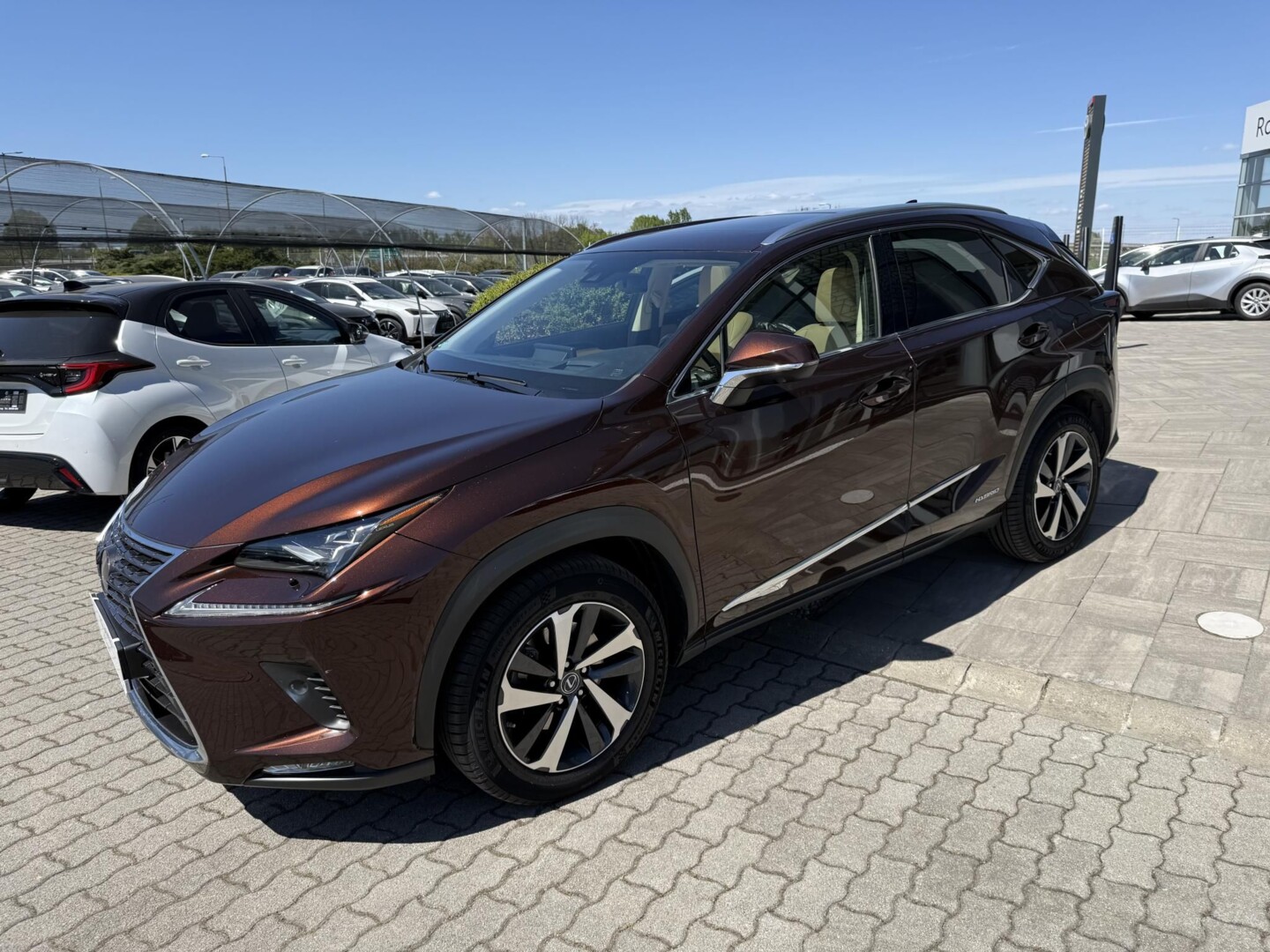 Lexus NX