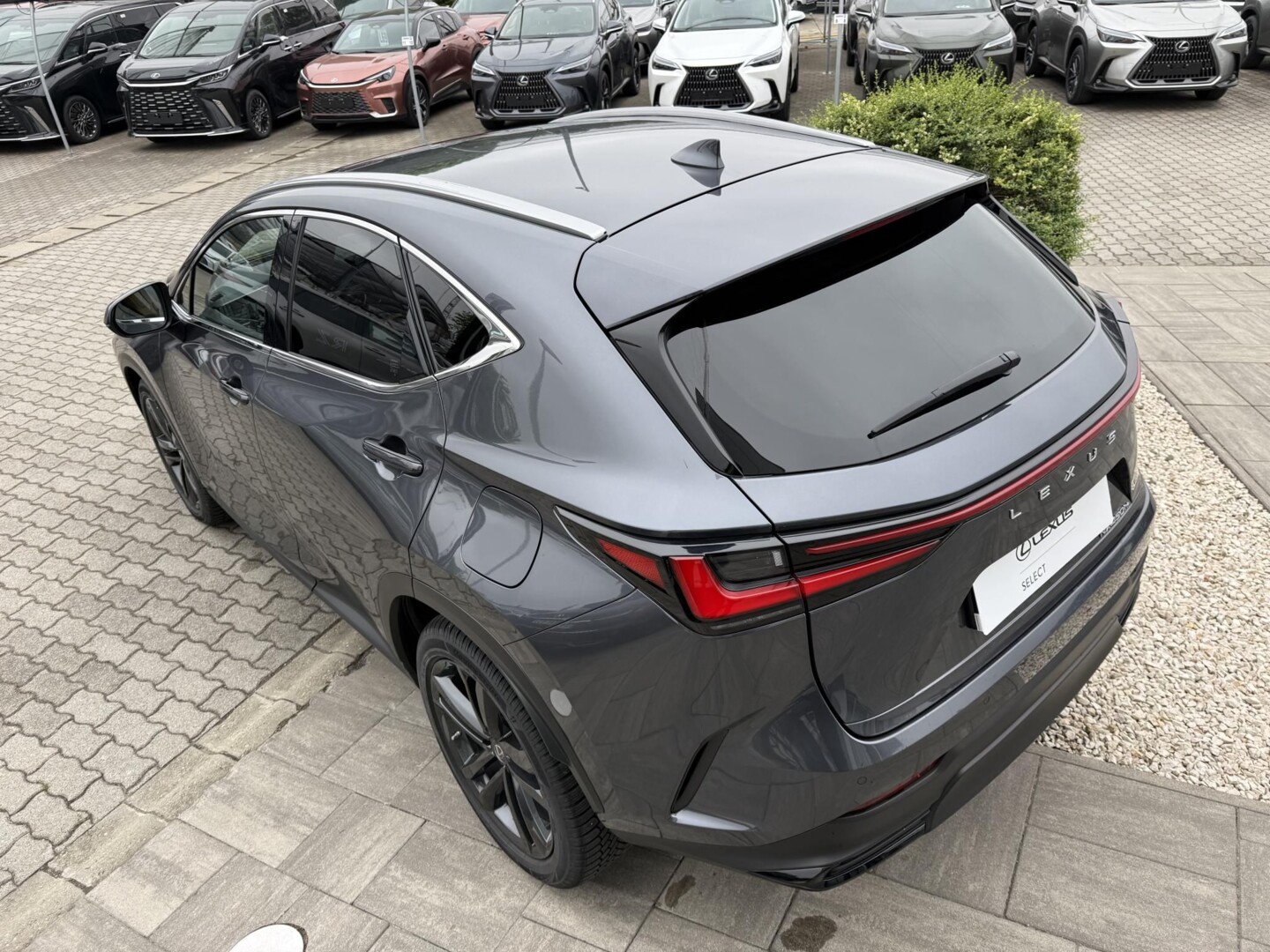Lexus NX