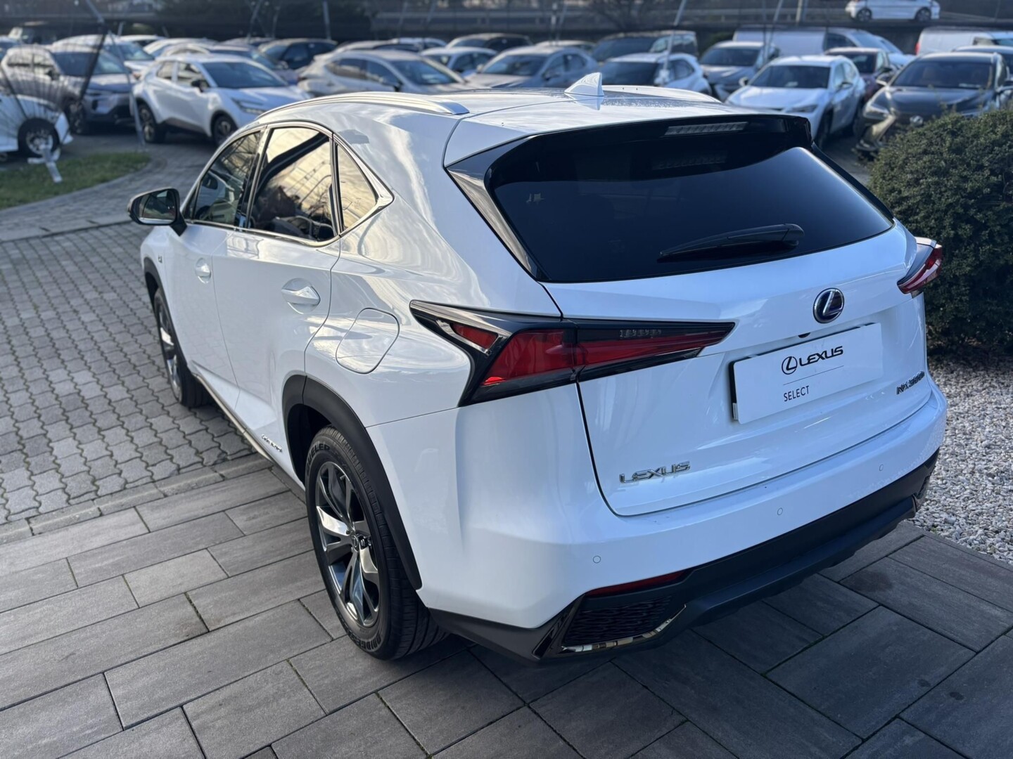 Lexus NX